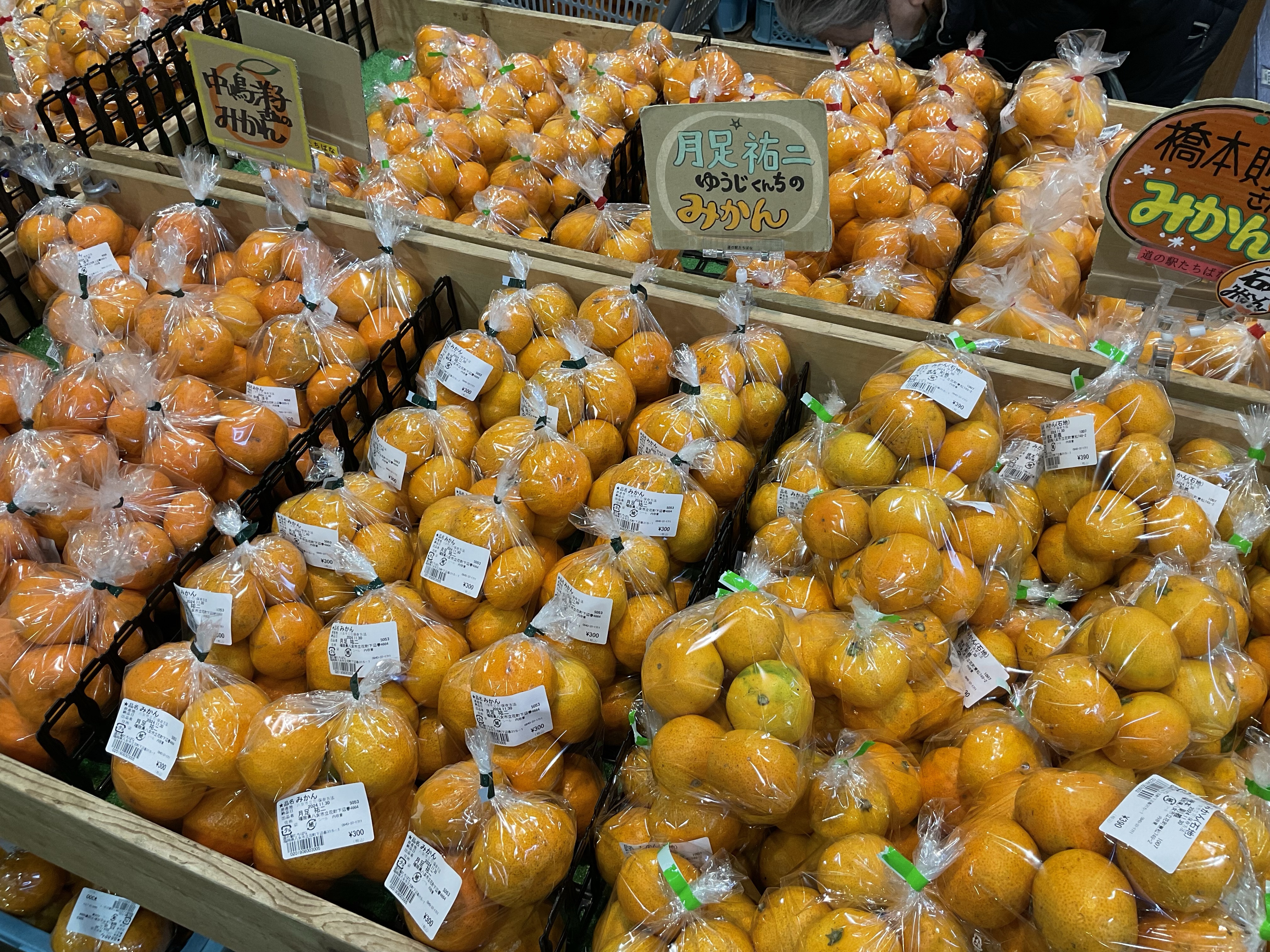 12月3日は「みかんの日」 | 八女市観光協会立花支部